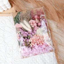 干花束勿忘我带茎天然干花紫粉色和白色永生干花花束用于插花婚礼派对 DIY 树脂花瓶家居装饰万圣节感恩节圣诞节