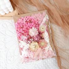 Dried Flowers Bundles Forget Me Not With Stems Natural Dried Flowers Purple Pink And White Preserved Dried Flowers Bouquet For Floral Arrangements Wedding Party DIY Resin Vase Home Decoration Halloween Thanksgiving Gifts Birthday Graduation,Fall Decor,Autumn - Baby Pink - View 26