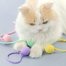 4 件带铃铛的猫玩具，滚球带绳，可发出声音，适合小猫玩耍