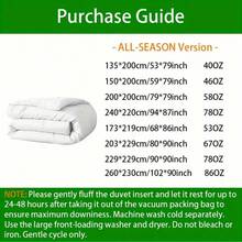 1pc Quilted Comforter - All Season Quilted Comforter, Polyester Fiber Filling, Bedding Comforter With Corner Loops - Grey - View 5