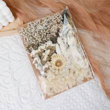 Dried Flowers Bundles Forget Me Not With Stems Natural Dried Flowers Purple Pink And White Preserved Dried Flowers Bouquet For Floral Arrangements Wedding Party DIY Resin Vase Home Decoration Halloween Thanksgiving Gifts Birthday Graduation,Fall Decor,Autumn - Baby Pink - View 14