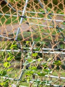 Natural Jute Climbing Net, Suitable For Climbing Plants And Beans, Outdoor Garden Decor, Indoor Plant Support, Simple Garden Fencing, Patio Decor, Yard, Wall Decor, Garden Decor, Balcony Decor, Plant Trellis, Outdoor Decor, Flower Stand, Garden Fence, Wedding Decor, Spring Gardening, Easter Decor Gift, New Year Gift