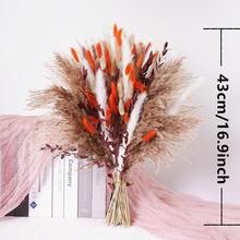 50/60 件奢华黑白干花花束 - 50 件蒲苇、兔尾草、香蒲、满天星、薰衣草和干花植物，非常适合婚礼、家居装饰、活动中心、新娘花束礼物、生日毕业典礼、秋季装饰、秋季 - 黑與白 - 查看 14