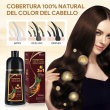 Black Color Shampoo For Gray Hair, Semi-Permanent Hair Color Shampoo For Men And Women, Herbal Ingredients, 3 In 1 100% Gray Hair Coverage Lasts 30 Days, 500ml/Ammonia Free/Natural Herbal Ingredients