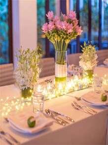 1 件 LED 仙女灯，50/100 LED 节日装饰，8 种模式，适用于房间、露台、室内/室外装饰、照明程序