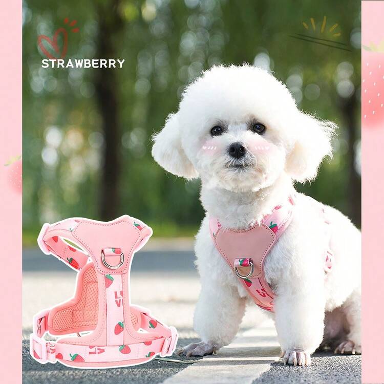 1 件可调节宠物背带，可调节颈部和胸部，耐用织带支撑，防变形金属 D 形环，柔软网眼织物基材。 - 彩色 - 查看 7