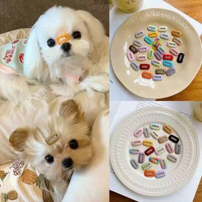 5pcs 10pcs 20pcs Color Random Pet Hair Clip BB Suitable For Dogs And Cats, Yorkshire Small Hair Clip Kamalzis Nose Bridge Hair Clip Mini Clip