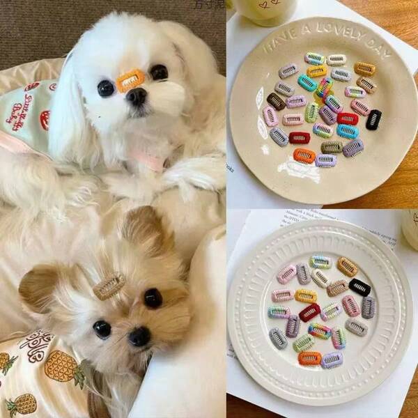 5pcs 10pcs 20pcs Color Random Pet Hair Clip BB Suitable For Dogs And Cats, Yorkshire Small Hair Clip Kamalzis Nose Bridge Hair Clip Mini Clip