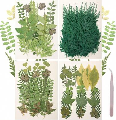 120Pcs Dried Pressed Leaves Flowers Real Flowers Natural Dry Leaves Bulk Mixed Colorful Herbs Kit With Tweezers Scrapbooking Candle Jewelry Crafts Making Nails Decorate(Green)