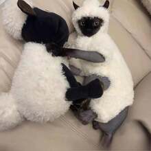 羊形猫服装，设计可爱，适合角色扮演，适合中小型猫