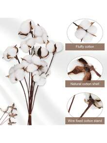30 件人造棉花仿古棉茎农舍装饰假秋季花瓶填充物白色干燥植物装饰适用于家庭婚礼派对厨房 DIY 插花、圣诞节、新年、万圣节装饰 - 彩色 - 查看 6