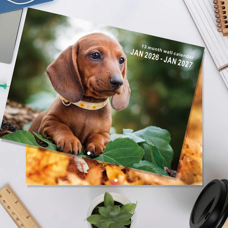 2026-2027 狗狗挂历 - 13 个月月度计划表（2026 年 1 月至 2027 年 1 月），11.3x8.5 英寸，周日开始 | 包含节假日、过去和未来月份 | 大型倒计时每日区块 | 预先打孔，方便悬挂 | 厚纸，适合家庭或办公室使用 - 2026-2027 Dog Wall Calendar - 查看 1