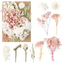 Dried Flowers Bundles Forget Me Not With Stems Natural Dried Flowers Purple Pink And White Preserved Dried Flowers Bouquet For Floral Arrangements Wedding Party DIY Resin Vase Home Decoration Halloween Thanksgiving Gifts Birthday Graduation,Fall Decor,Autumn - Baby Pink - View 9