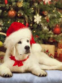 1pc Of Christmas Artificial Snow Blanket, Perfect For Christmas Holiday Decorations, Home Holiday Celebrations, Christmas Atmosphere Decorations, And Christmas Party Scene Settings, Perfect For Christmas And Christmas Theme Parties Home Decor Christmas Decorations Room Decor Winter