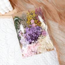 Dried Flowers Bundles Forget Me Not With Stems Natural Dried Flowers Purple Pink And White Preserved Dried Flowers Bouquet For Floral Arrangements Wedding Party DIY Resin Vase Home Decoration Halloween Thanksgiving Gifts Birthday Graduation,Fall Decor,Autumn - Baby Pink - View 25