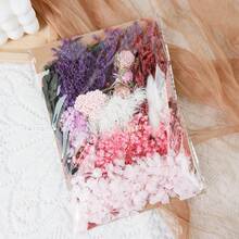 Dried Flowers Bundles Forget Me Not With Stems Natural Dried Flowers Purple Pink And White Preserved Dried Flowers Bouquet For Floral Arrangements Wedding Party DIY Resin Vase Home Decoration Halloween Thanksgiving Gifts Birthday Graduation,Fall Decor,Autumn - Baby Pink - View 21