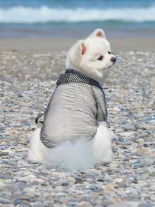 寵物防曬背心，透氣薄款狗貓T恤 - 玫紅色 - 查看 11