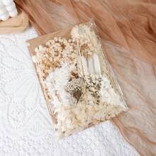 Dried Flowers Bundles Forget Me Not With Stems Natural Dried Flowers Purple Pink And White Preserved Dried Flowers Bouquet For Floral Arrangements Wedding Party DIY Resin Vase Home Decoration Halloween Thanksgiving Gifts Birthday Graduation,Fall Decor,Autumn - Baby Pink - View 28