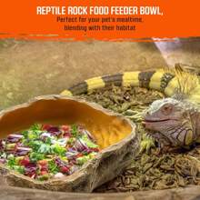 Reptile Water Bowl, Resin Reptile Rock Feeding Dish, Water And Feeding Bowl, Suitable For Leopard Gecko, Lizard, Spider, Turtle, Scorpion, Chameleon, Hermit Crab Terrarium Decor (Yellow)