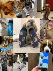 1 Pair Of Men's Mid Length Socks,Custom Dog Face Socks, Personalized Pet Face Socks With Photo Customized Funny Crew Sock Gifts For Men, Custom Valentine's Day Birthday Gifts Gag Gifts For Pet Lover,Customized Men Socks,Street Casual Chic, Fall,Dawg,Colorful,Cute,Adorable,Contracted,Funny,Custom,Unique,Customized,Personalized,Ideal Gifts For Him,Ideal Gifts For Her,Boyfriend,Girlfriend,Family,Friends,Her