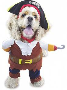 NACOCO Pet Dog Costume  Style (Medium)Christmas - 棕色海盜 - 查看 5