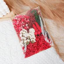 Dried Flowers Bundles Forget Me Not With Stems Natural Dried Flowers Purple Pink And White Preserved Dried Flowers Bouquet For Floral Arrangements Wedding Party DIY Resin Vase Home Decoration Halloween Thanksgiving Gifts Birthday Graduation,Fall Decor,Autumn - Baby Pink - View 23