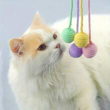 4 件带铃铛的猫玩具，滚球带绳，可发出声音，适合小猫玩耍
