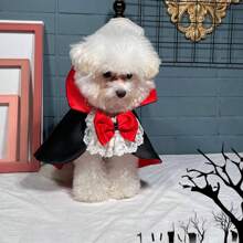 宠物万圣节吸血鬼披风Cosplay猫披风狗狗披风猫狗衣服宠物用品万圣节万圣节服装