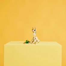 LEGO Creator 3 In 1 Cute Bunny Toy - Building Toy Set With 3 Build Options, Bunny, Seal, Or Llama - Birthday Gift & Craft - Animal Figures For Kids, Girls And Boys, Ages 8+ - 31162 - 31162 - View 10