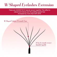 Fadvan 12Rows Real 6D W Lashes 0.07 C/D/L 8-15mm Premade W Fan Lash Extensions Natural Soft Black/Brown W Style Lashes Faux Mink Individual Lashes,Professional Eyelash Grafting,Lash Tech Supplieslash Clusters,Eyelash Clusters,Individual Eyelashes,Lashes,Fake Lashes - Black - View 4