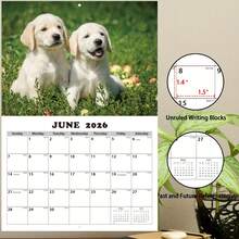 2026-2027 狗狗挂历 - 13 个月月度计划表（2026 年 1 月至 2027 年 1 月），11.3x8.5 英寸，周日开始 | 包含节假日、过去和未来月份 | 大型倒计时每日区块 | 预先打孔，方便悬挂 | 厚纸，适合家庭或办公室使用 - 2026-2027 Dog Wall Calendar - 查看 8