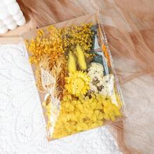 Dried Flowers Bundles Forget Me Not With Stems Natural Dried Flowers Purple Pink And White Preserved Dried Flowers Bouquet For Floral Arrangements Wedding Party DIY Resin Vase Home Decoration Halloween Thanksgiving Gifts Birthday Graduation,Fall Decor,Autumn - Baby Pink - View 18