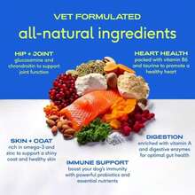 Native Pet Dog Vitamins &Amp; Supplements - 11-In-1 Multivitamin Powder For Dogs Food Topper - Collagen, Glucosamine, Probiotics, Omega &Amp; More- Supports Healthy Gut, Mobility &Amp; Overall Health -60 Scoops - MàuA - Xem 3