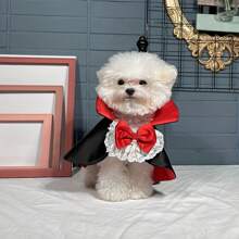 宠物万圣节吸血鬼披风Cosplay猫披风狗狗披风猫狗衣服宠物用品万圣节万圣节服装