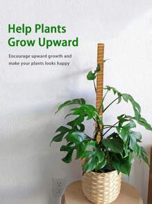 1/2/4pcs Stackable Moss Poles, Suitable For Pothos And Climbing Plants - Multiple Sizes Available, Natural Coconut Fiber Material Great For Home, Office, Garden Planters Coconut Fiber Totem Plant Support, Light Brown, Indoor Potted Plants, Moss - Multicolor - View 7