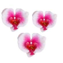 4 件套夏威夷花发夹，适合女士，4 件人造花发夹，芙蓉花和莲花发夹，适合度假、海滩派对、夏季热带花卉发饰，送给女孩的理想礼物