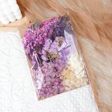 Dried Flowers Bundles Forget Me Not With Stems Natural Dried Flowers Purple Pink And White Preserved Dried Flowers Bouquet For Floral Arrangements Wedding Party DIY Resin Vase Home Decoration Halloween Thanksgiving Gifts Birthday Graduation,Fall Decor,Autumn - Baby Pink - View 19