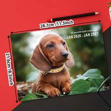 2026-2027 狗狗挂历 - 13 个月月度计划表（2026 年 1 月至 2027 年 1 月），11.3x8.5 英寸，周日开始 | 包含节假日、过去和未来月份 | 大型倒计时每日区块 | 预先打孔，方便悬挂 | 厚纸，适合家庭或办公室使用 - 2026-2027 Dog Wall Calendar - 查看 4