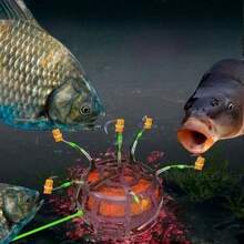 6个碳钢丝饵笼坠，新款方形饵笼弹簧钩