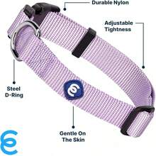 Pet Basic Dog Collars - Lavender - View 3