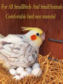 椰子纤维花盆罩，天然有机纤维，防虫，保护植物土壤，50克/200克/250克-花园装饰假草，圣诞装饰品 - 棕色 - 查看 11