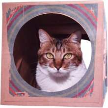 1pc Funny Cat Tunnel Toy Foldable Holes Kitten Kraft Paper Tunnel Cave Cat Toy - Army Green - View 4