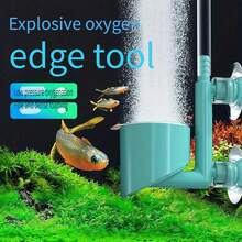 1个超高密度纳米气泡增氧器，鱼缸气泡墙，水族箱氧气发生器，采用纳米气泡技术，改善鱼类健康和外观。适用于小型和中型水族箱。（气泵需另购）