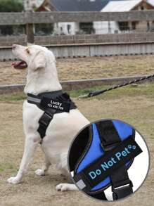 [定制] 多色宠物胸背带皮革标签贴片。可定制您的姓名及其他信息。户外狗狗胸背带配件。多种字体颜色可选。图案包括：爪子、皇冠、心形、骨头、领结、花朵和图标。 - 彩色 - 查看 6