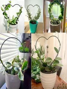 1个心形植物支架 - 轻便支架，休闲风格室内/室外花园支撑架，带立柱，经久耐用且轻巧，适用于盆栽植物、草坪护理和家居装饰，心形设计，结构坚固，园艺工具，园艺配件，植物架，园艺用品 - 彩色 - 查看 5
