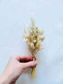 热销迷你干花花束 1-12 件套，适用于波西米亚婚礼、餐桌中心装饰、小干芦苇、手工干花、生日蛋糕伴娘礼盒、花瓶装饰