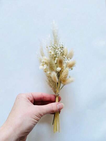 热销迷你干花花束 1-12 件套，适用于波西米亚婚礼、餐桌中心装饰、小干芦苇、手工干花、生日蛋糕伴娘礼盒、花瓶装饰