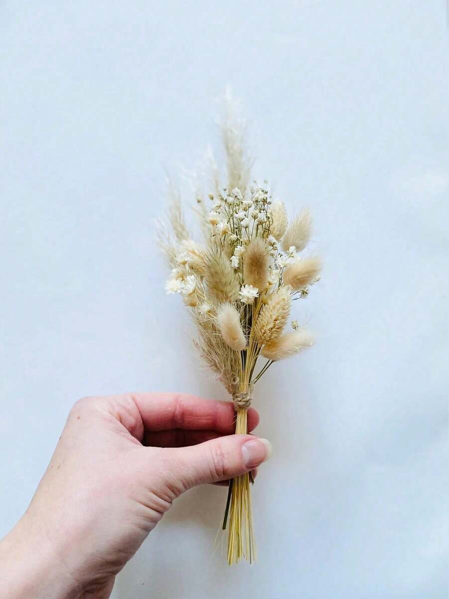 热销迷你干花花束 1-12 件套，适用于波西米亚婚礼、餐桌中心装饰、小干芦苇、手工干花、生日蛋糕伴娘礼盒、花瓶装饰