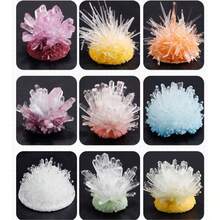 1件装晶体生长科学实验套装，趣味亲子互动实验道具，化学实验晶体生长原理，情商与智力发展，动手玩具 - 生日礼物、复活节礼物、万圣节礼物、圣诞节礼物，完美礼物之选