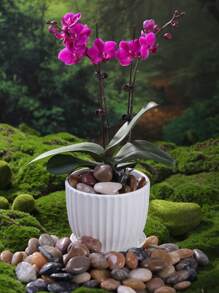 100/300/500/800g Colorful Pebbles Indoor Potted Green Plants Decorative Stones, Outdoor Gardens Used As Paving Stones, Aquarium Fish Tank Turtle Tank Decorative Sand Stones, Ramadan Courtyard Decorative Stones, Garden Bonsai Filled With Polished Stones - Multicolor - View 11